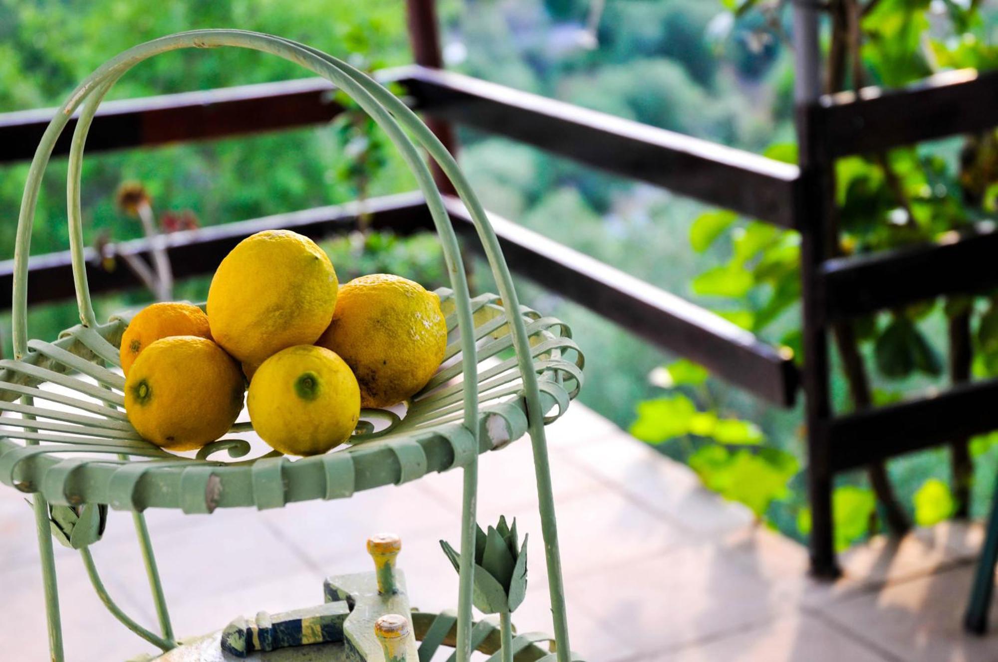 Dubrava  Bellavista Peljesac Peninsula B&B 객실 사진
