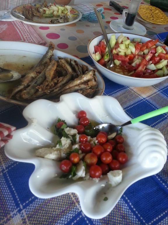 Dubrava  Bellavista Peljesac Peninsula B&B 외부 사진